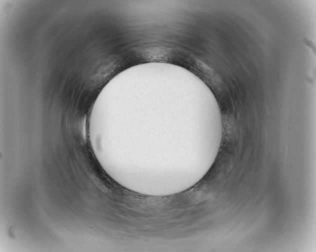 X0000095920028200802011222