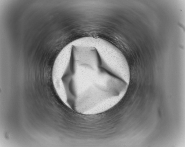 X0000095920030200802011222