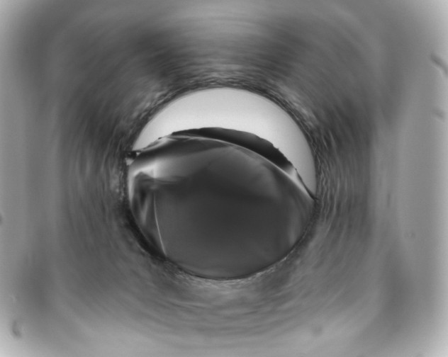 X0000095920031200802011222