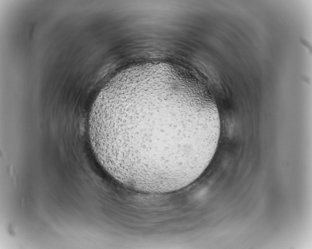 X0000095920032200802011222