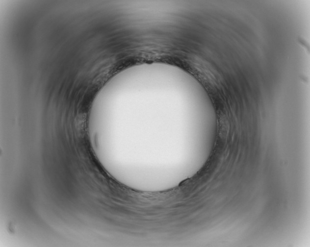 X0000095920034200802011222