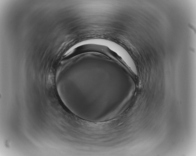 X0000095920035200802011222