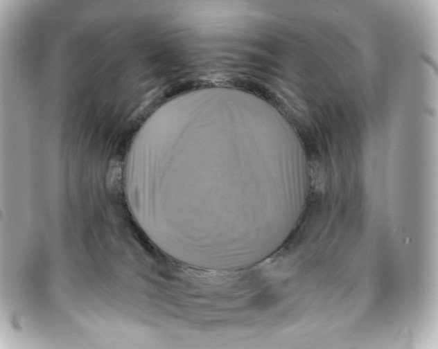 X0000095920036200802011222