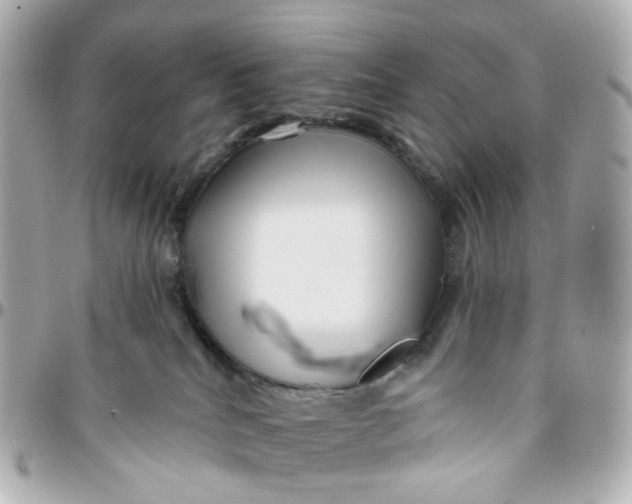 X0000095920040200802011222