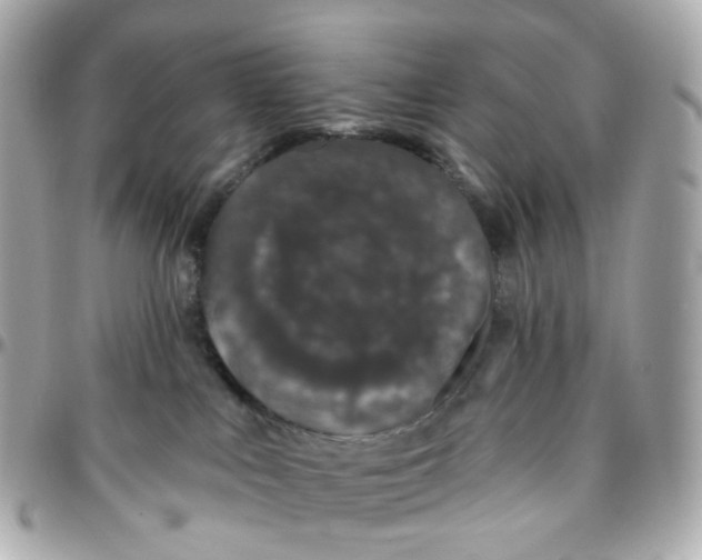 X0000095920043200802011222