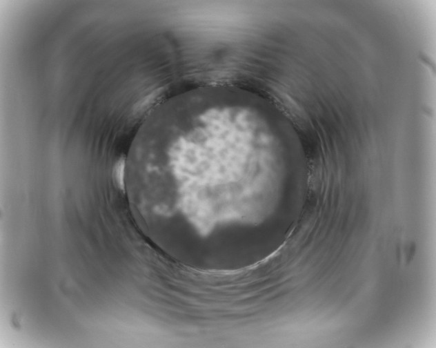 X0000095920047200802011222