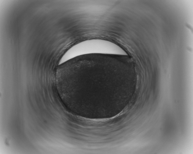 X0000095920048200802011222