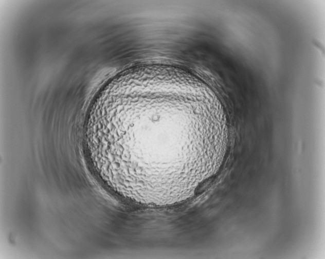 X0000095920049200802011222