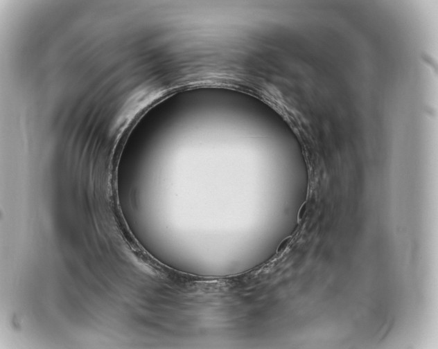 X0000095920050200802011222