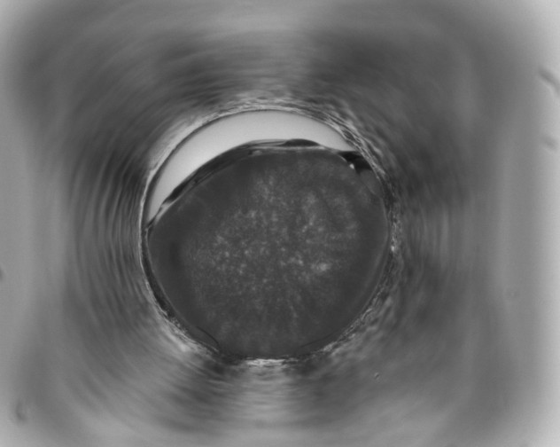 X0000095920052200802011222