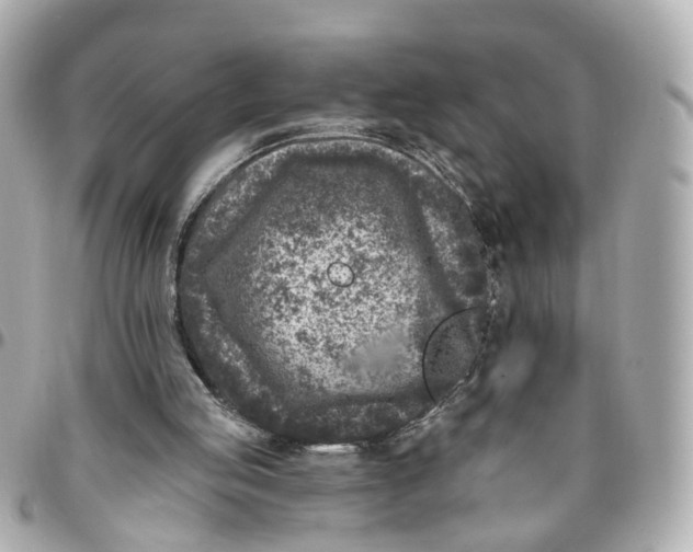 X0000095920053200802011222