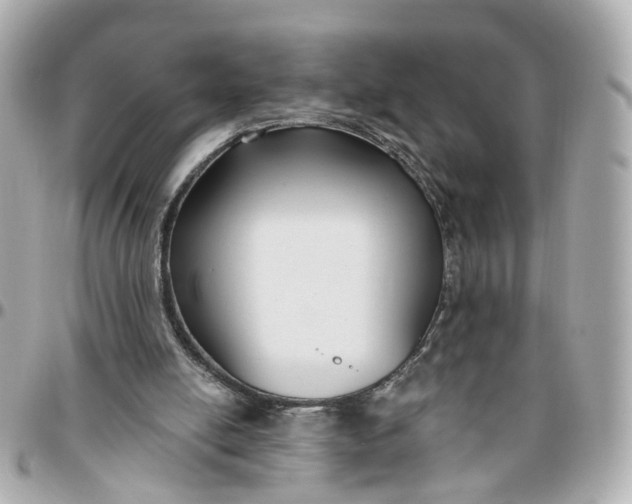 X0000095920054200802011222