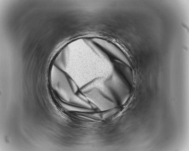 X0000095920055200802011222