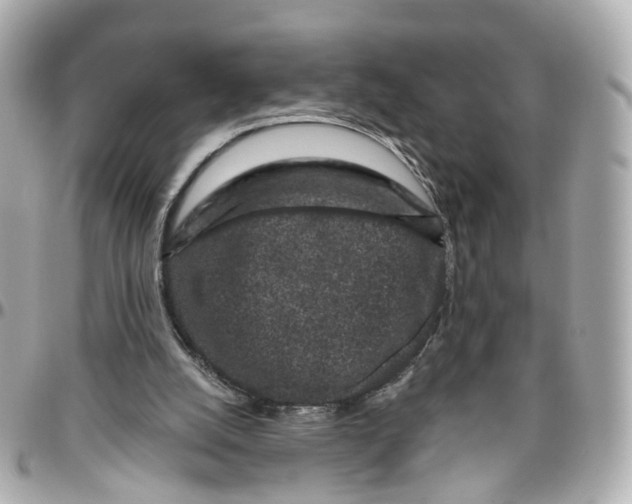 X0000095920056200802011222