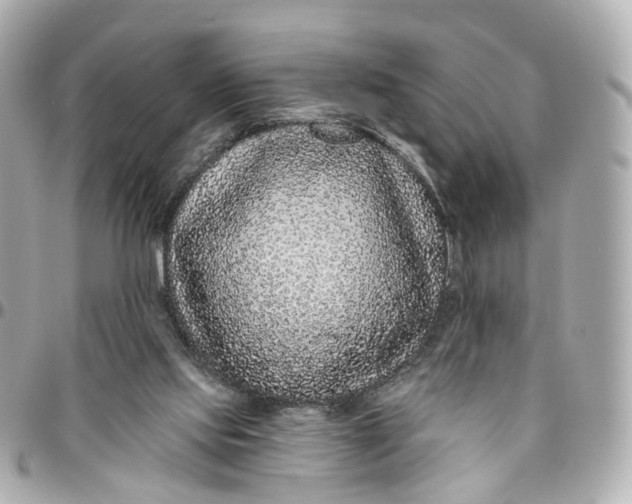 X0000095920061200802011222