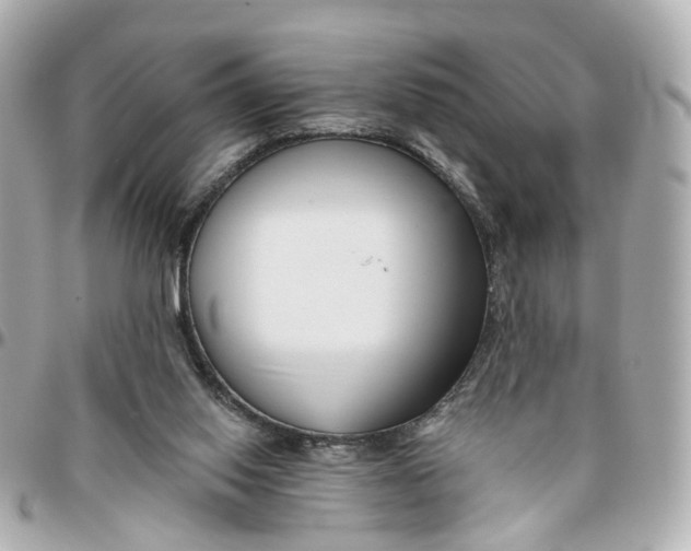 X0000095920062200802011222