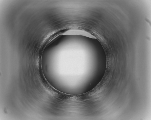 X0000095920064200802011222