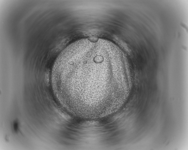 X0000095920065200802011222