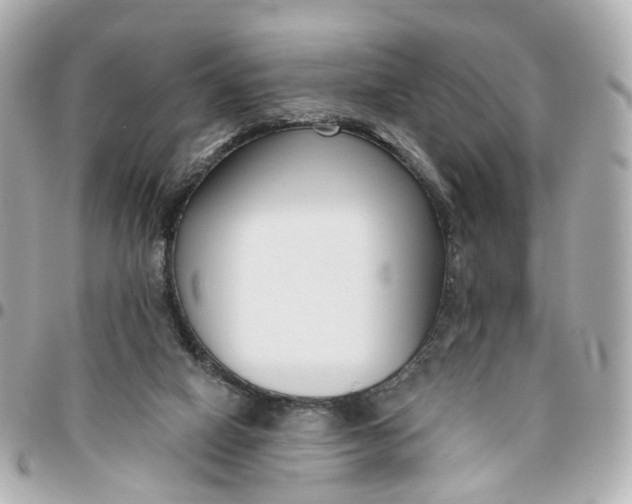 X0000095920066200802011222