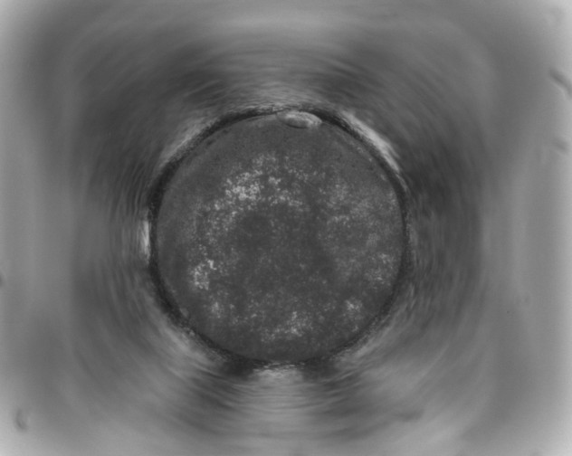 X0000095920067200802011222