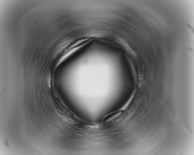 X0000095920068200802011222