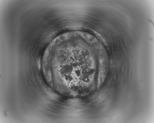 X0000095920069200802011222