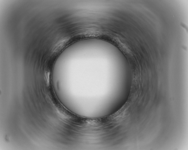 X0000095920070200802011222