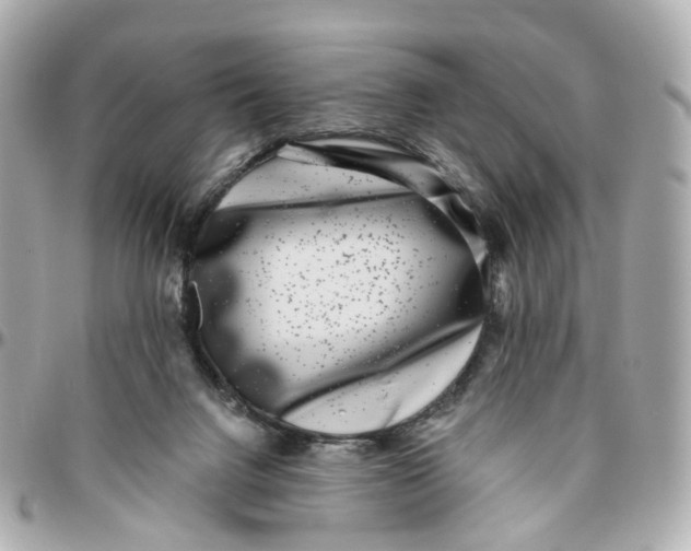 X0000095920072200802011222