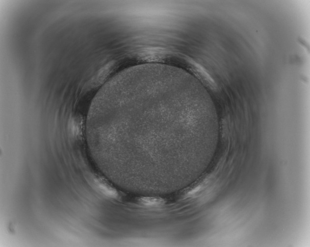 X0000095920073200802011222