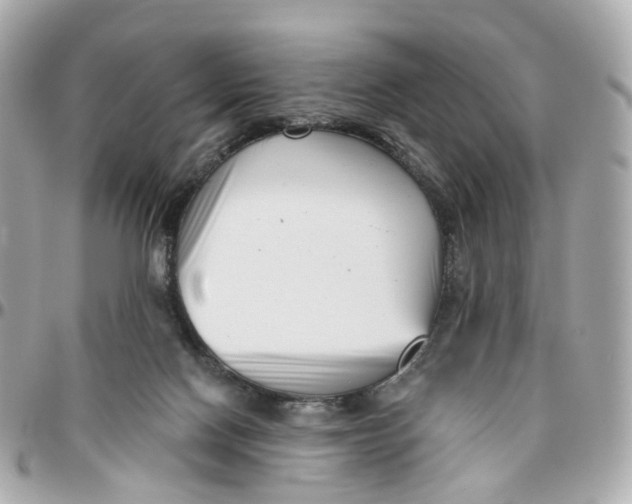 X0000095920074200802011222