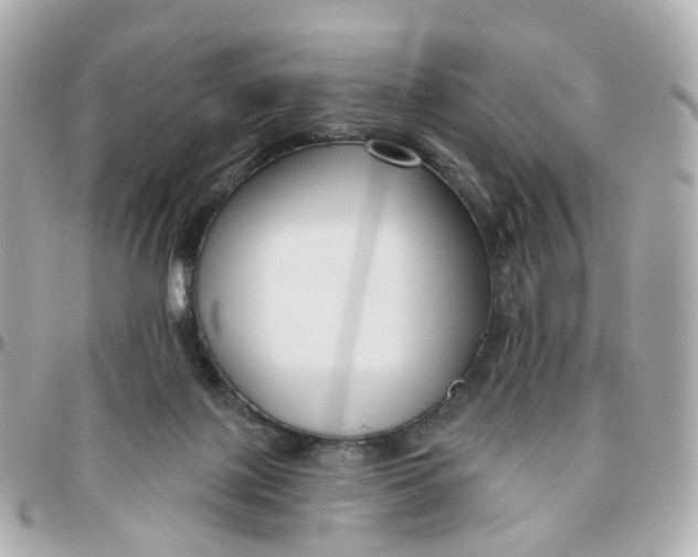 X0000095920075200802011222