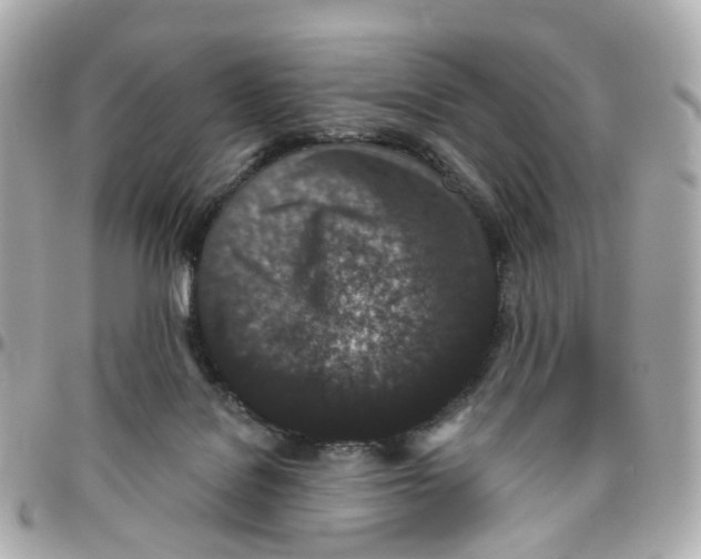 X0000095920076200802011222