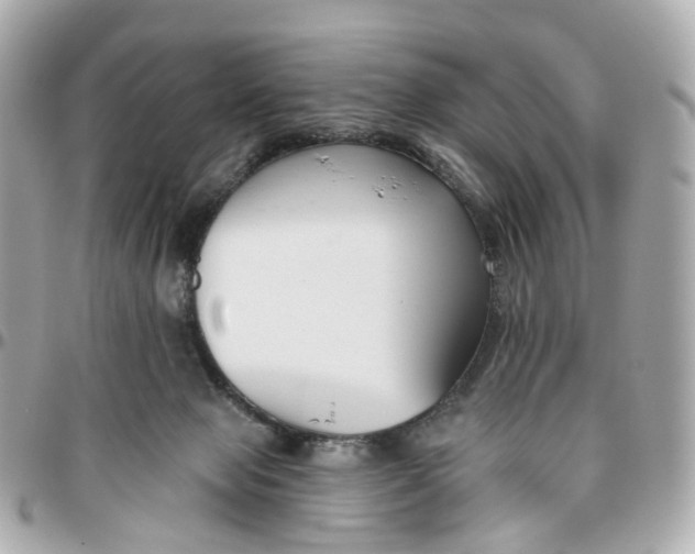 X0000095920077200802011222