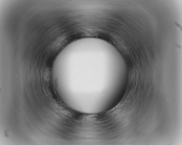 X0000095920078200802011222