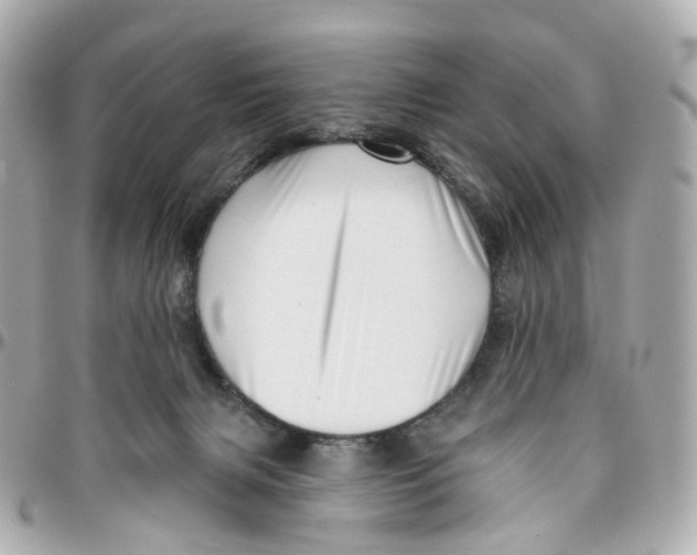 X0000095920079200802011222