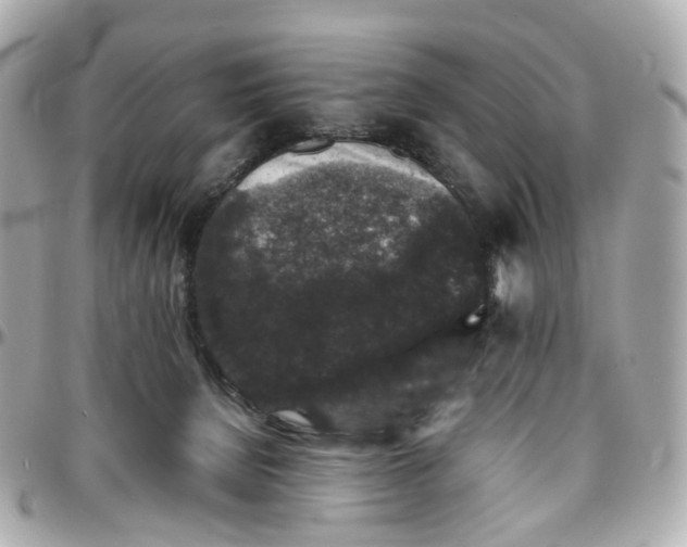 X0000095920080200802011222