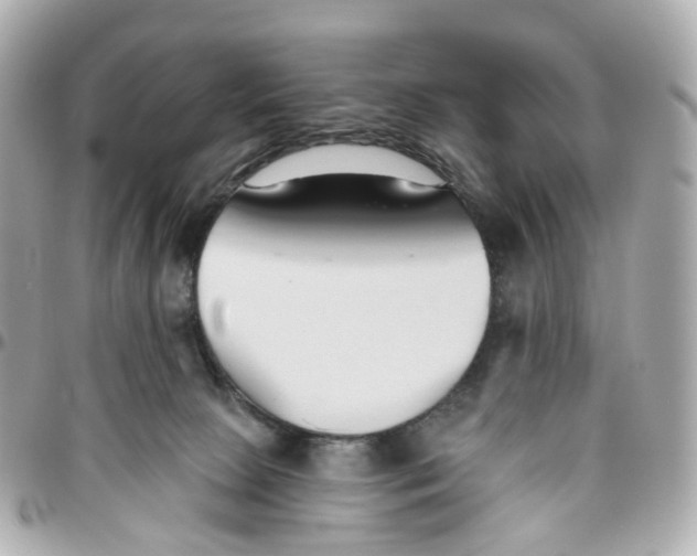 X0000095920081200802011222