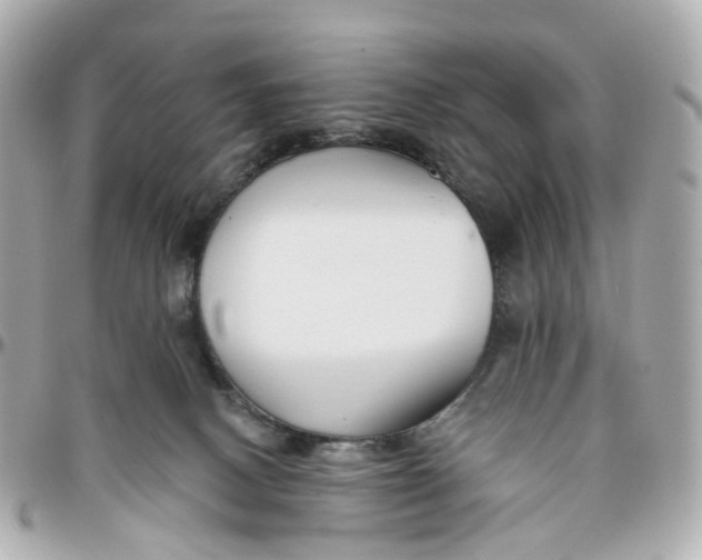 X0000095920082200802011222