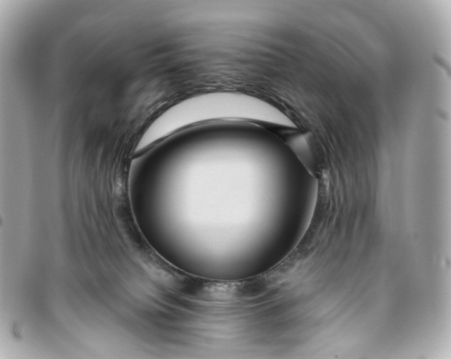 X0000095920084200802011222