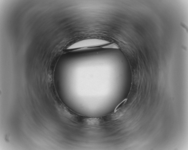 X0000095920085200802011222