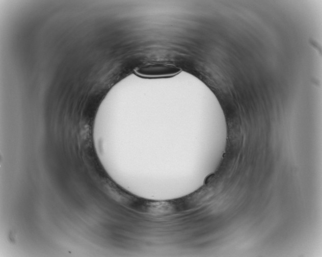 X0000095920087200802011222