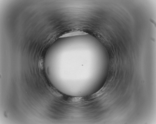 X0000095920090200802011222