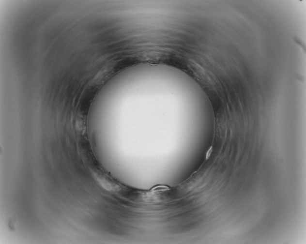 X0000095920091200802011222