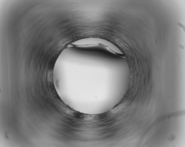 X0000095920096200802011222