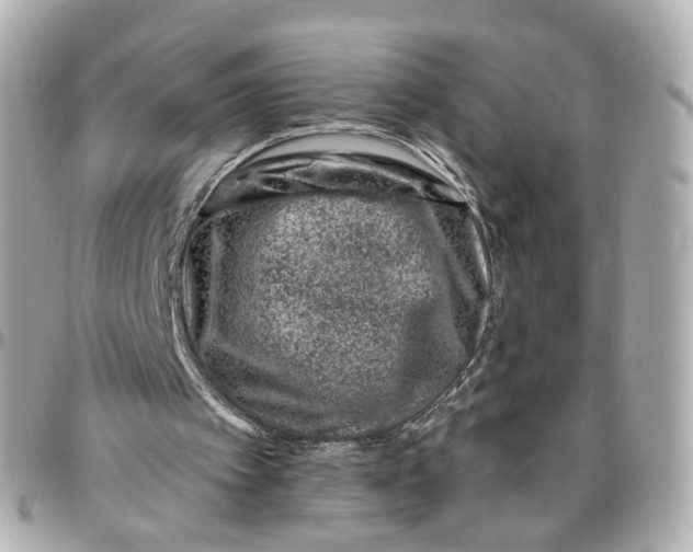 X0000095920097200802011222