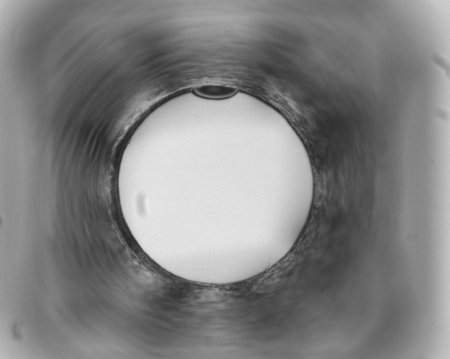 X0000095920098200802011222