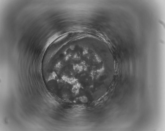 X0000095920099200802011222