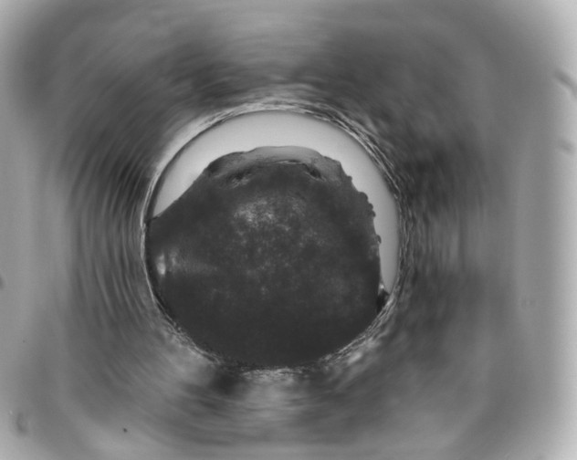 X0000095920100200802011222