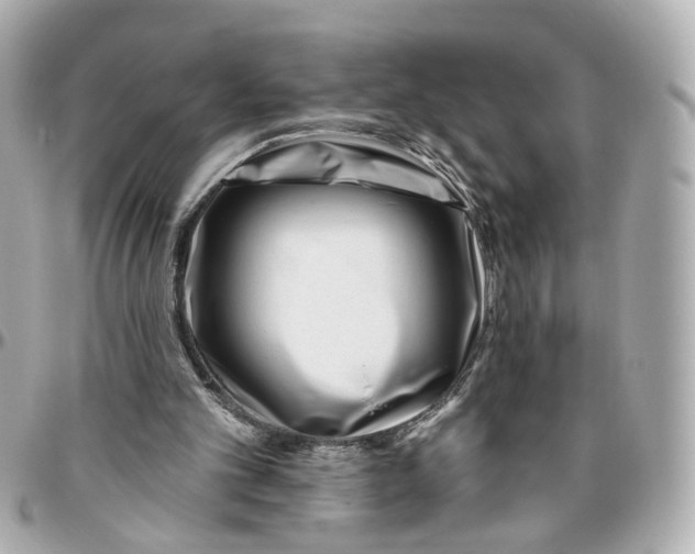 X0000095920101200802011221