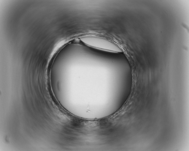 X0000095920102200802011221